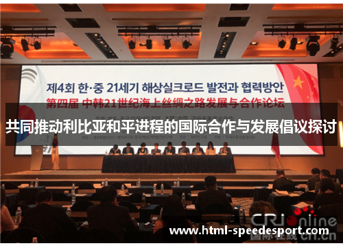 共同推动利比亚和平进程的国际合作与发展倡议探讨
